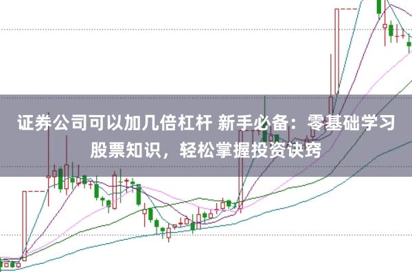 证券公司可以加几倍杠杆 新手必备：零基础学习股票知识，轻松掌握投资诀窍