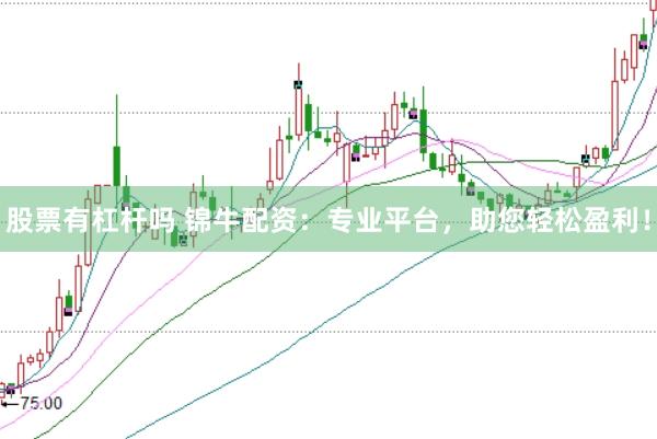 股票有杠杆吗 锦牛配资：专业平台，助您轻松盈利！