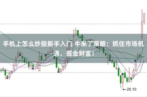 手机上怎么炒股新手入门 牛来了策略：抓住市场机遇，掘金财富！