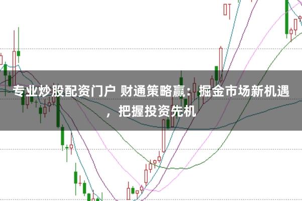 专业炒股配资门户 财通策略赢：掘金市场新机遇，把握投资先机