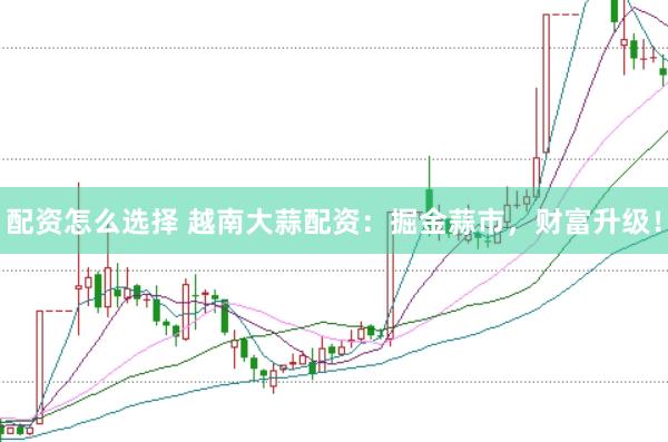 配资怎么选择 越南大蒜配资：掘金蒜市，财富升级！