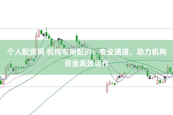 个人配资网 机构专用配资：专业通道，助力机构资金高效运作
