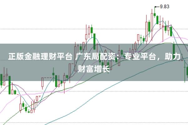 正版金融理财平台 广东局配资：专业平台，助力财富增长