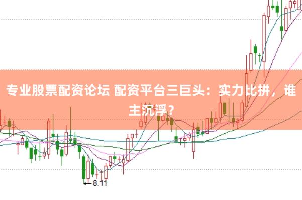 专业股票配资论坛 配资平台三巨头：实力比拼，谁主沉浮？