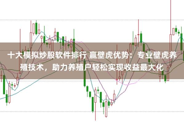 十大模拟炒股软件排行 赢壁虎优势：专业壁虎养殖技术，助力养殖户轻松实现收益最大化