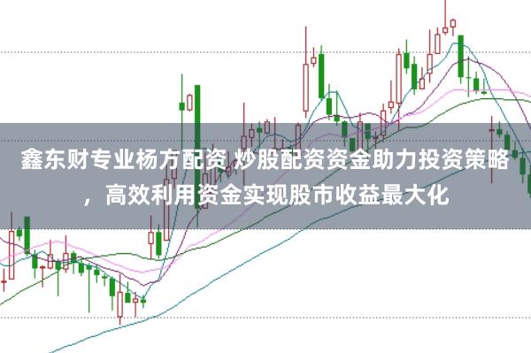 鑫东财专业杨方配资 炒股配资资金助力投资策略，高效利用资金实现股市收益最大化