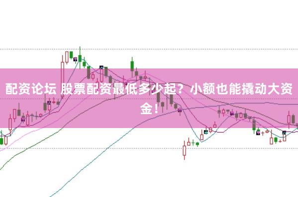 配资论坛 股票配资最低多少起？小额也能撬动大资金！