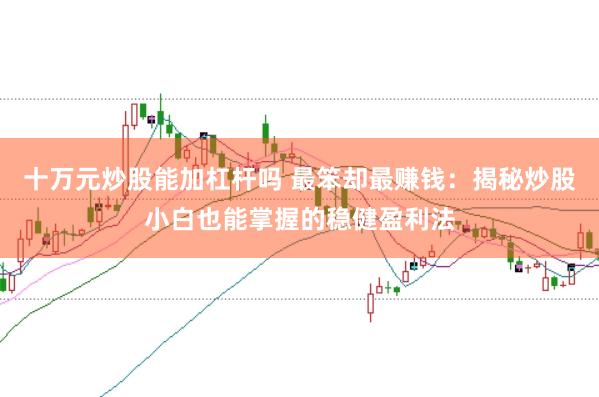 十万元炒股能加杠杆吗 最笨却最赚钱：揭秘炒股小白也能掌握的稳健盈利法