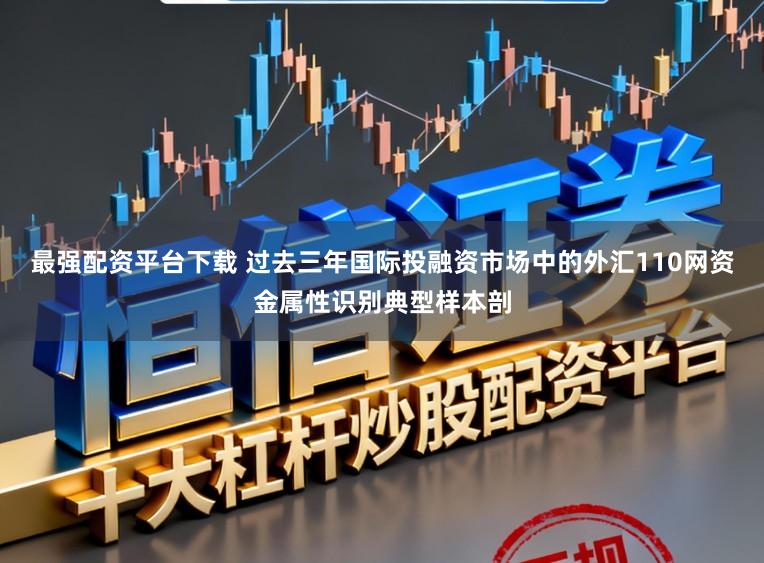 最强配资平台下载 过去三年国际投融资市场中的外汇110网资金属性识别典型样本剖