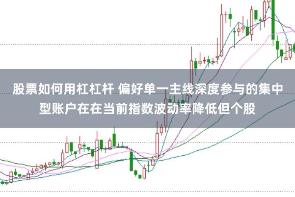 股票如何用杠杠杆 偏好单一主线深度参与的集中型账户在在当前指数波动率降低但个股