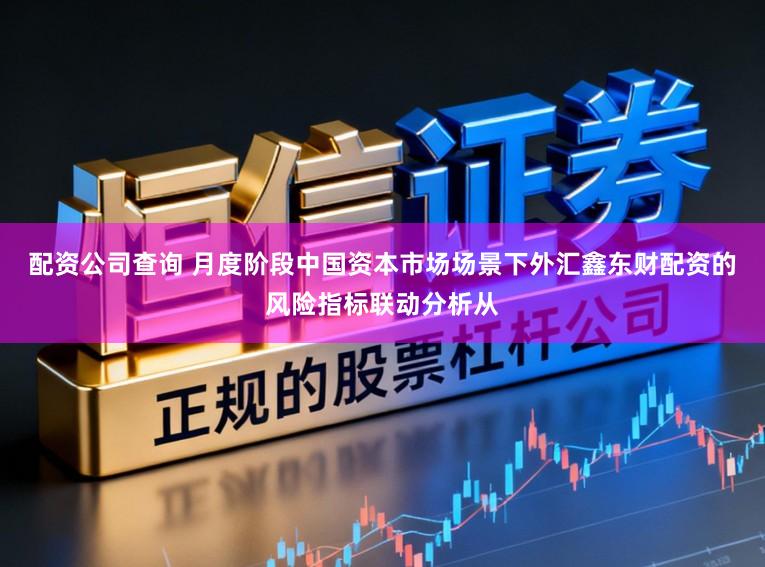 配资公司查询 月度阶段中国资本市场场景下外汇鑫东财配资的风险指标联动分析从