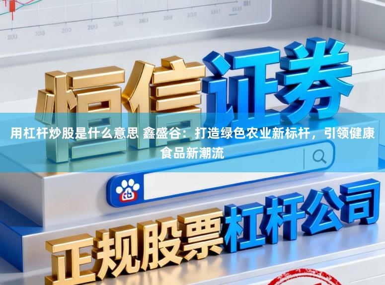 用杠杆炒股是什么意思 鑫盛谷：打造绿色农业新标杆，引领健康食品新潮流