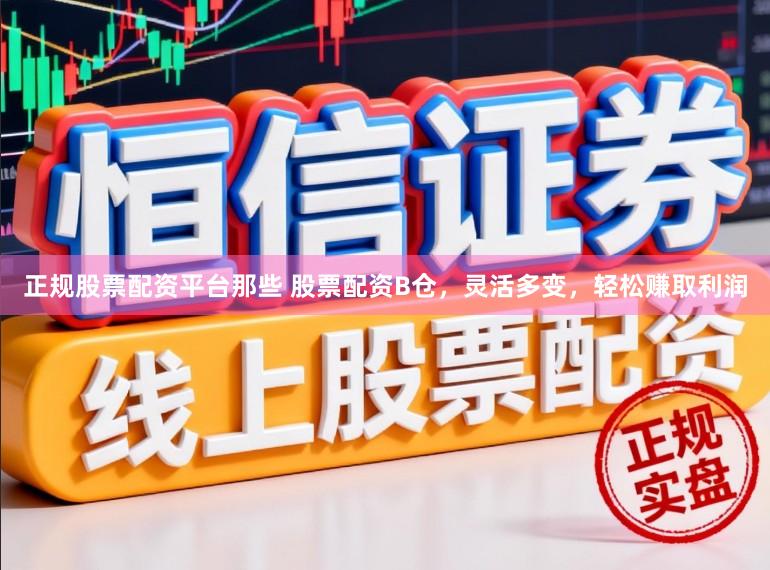 正规股票配资平台那些 股票配资B仓，灵活多变，轻松赚取利润