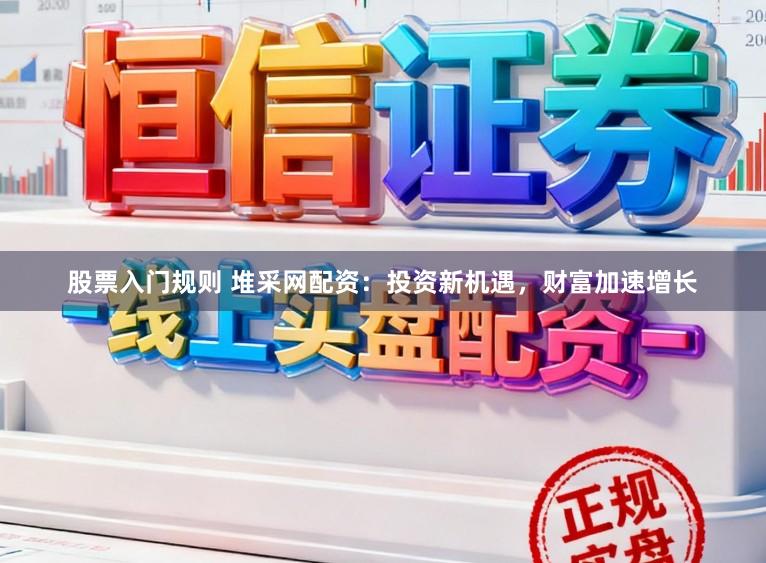 股票入门规则 堆采网配资：投资新机遇，财富加速增长