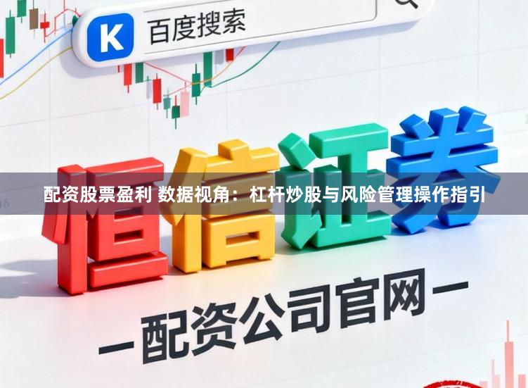 配资股票盈利 数据视角：杠杆炒股与风险管理操作指引